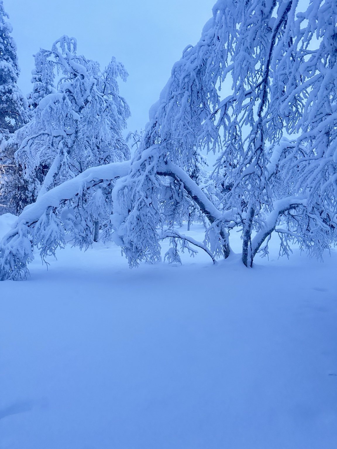 Finland travel photograph