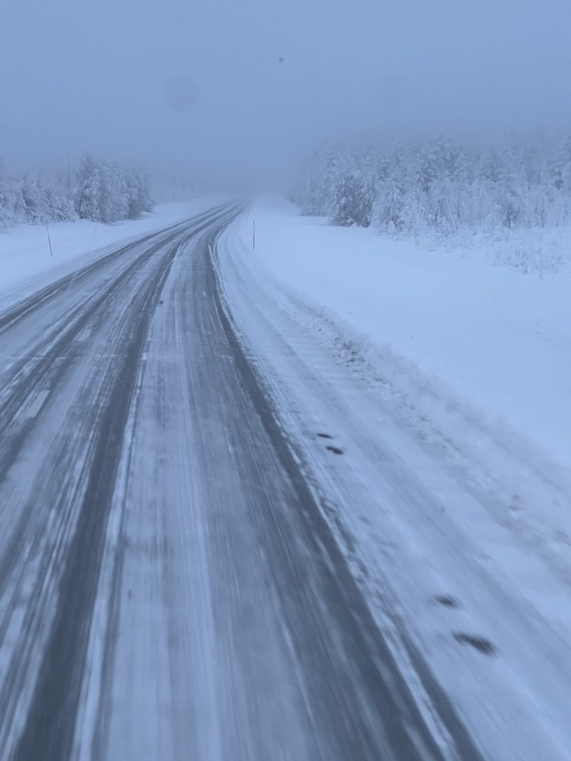 A snowy road curving through a forest