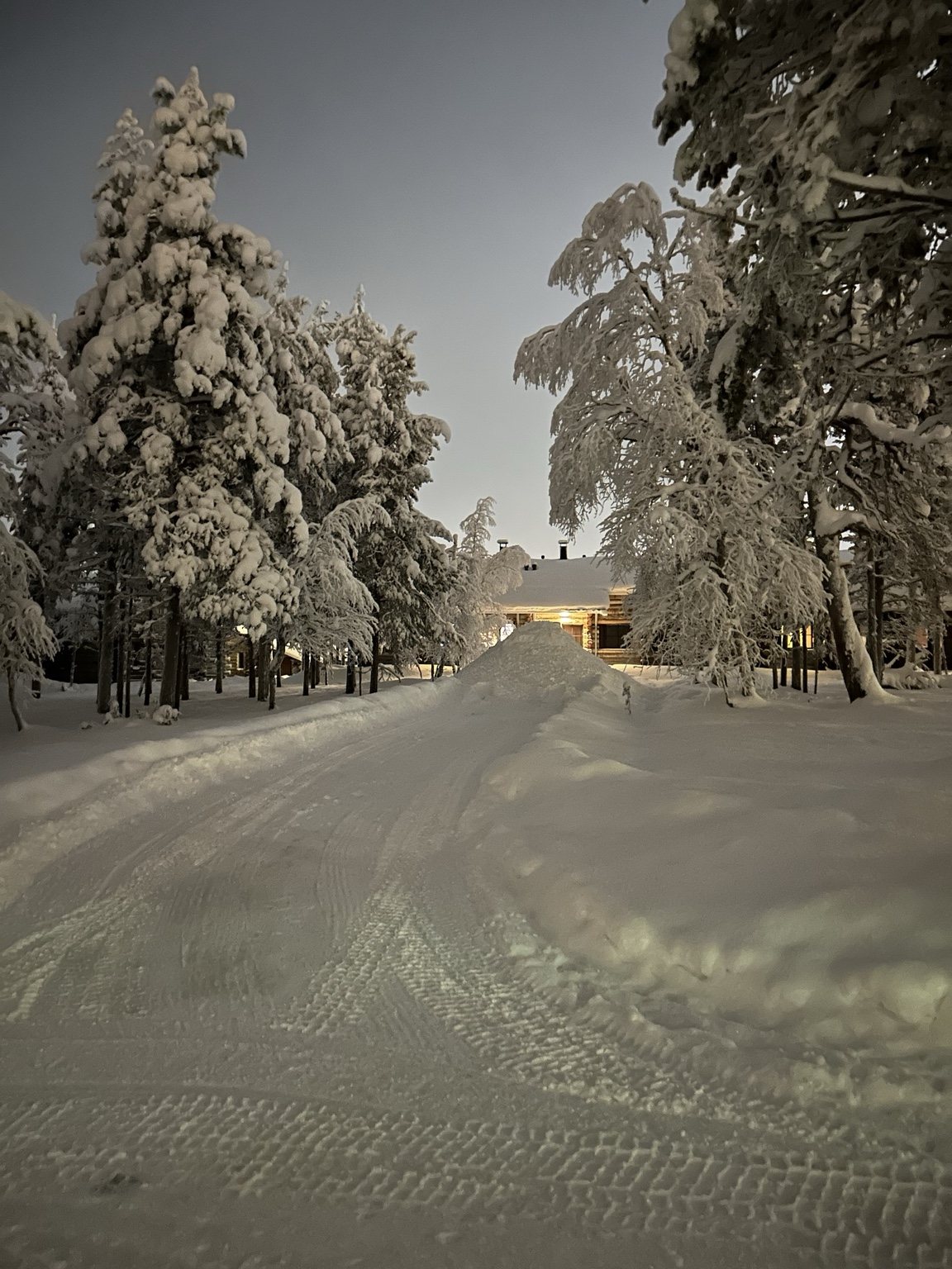 Snowy lane framed by heavily laden trees