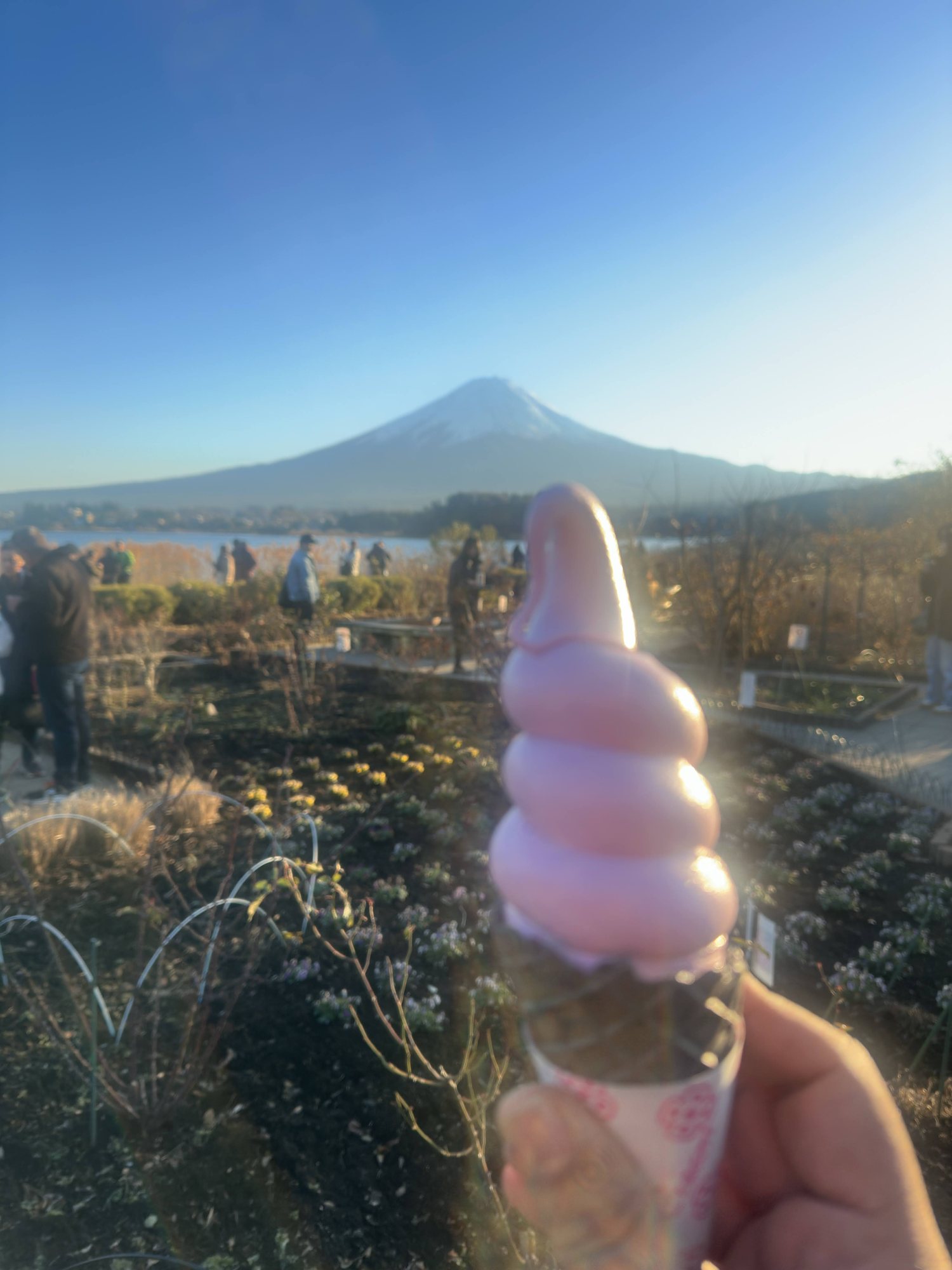 Soft serve ice cream with Mount Fuji in the background