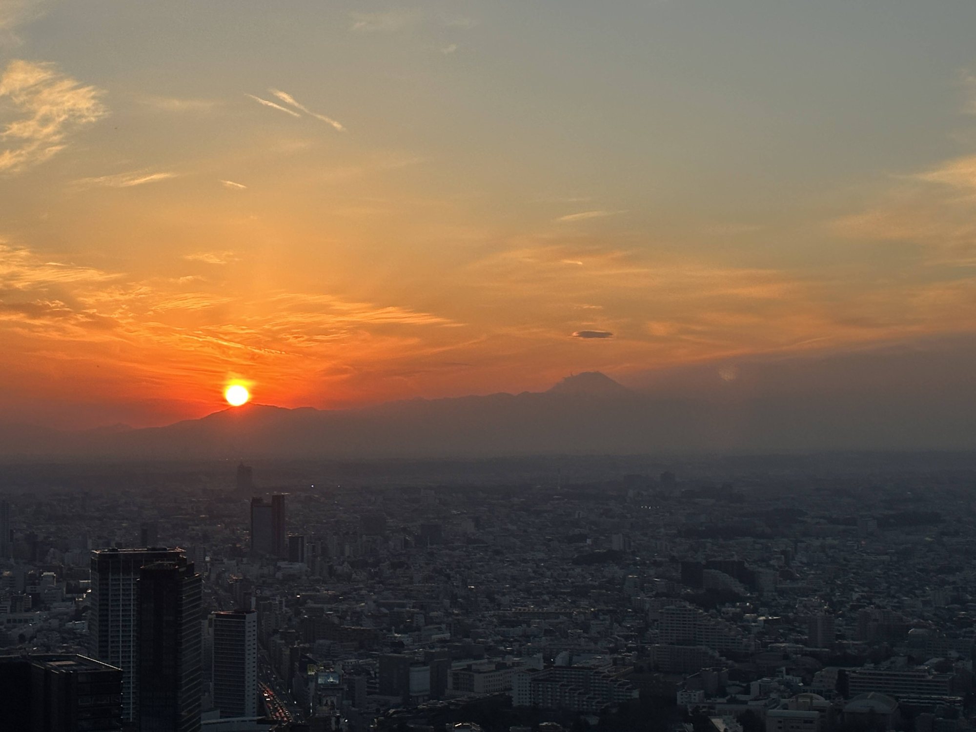 Sunset sky above a dense city
