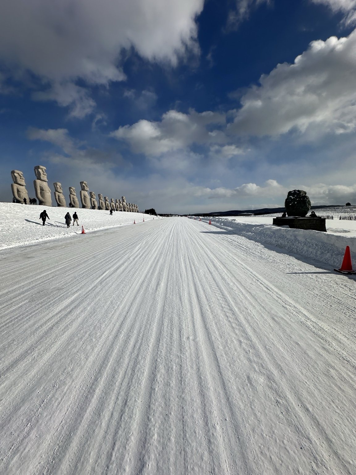 Road covered in snow through a Japanese landscape