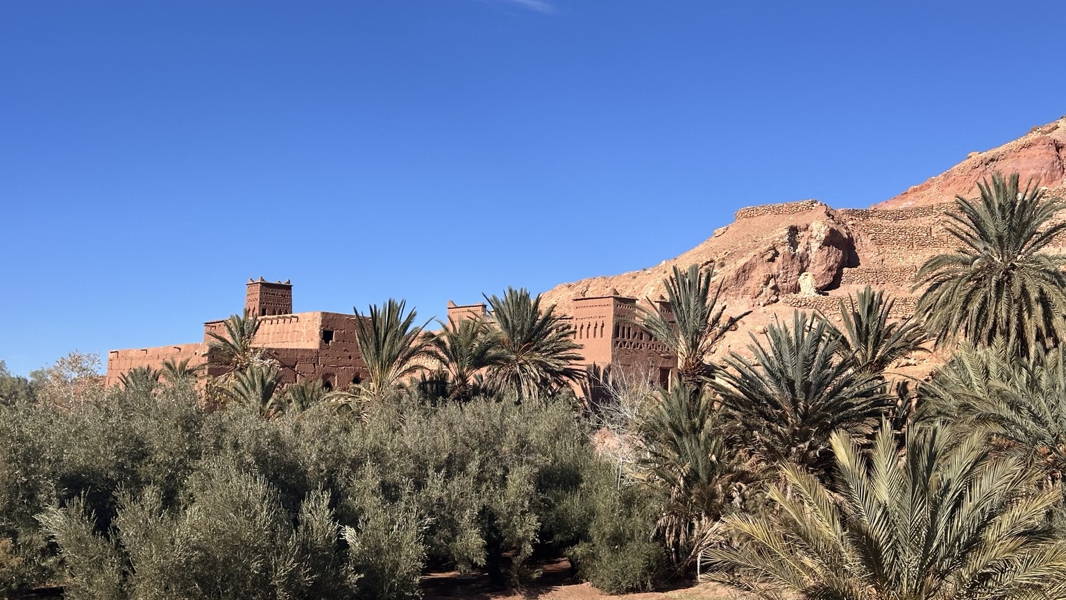 Earthen buildings at Aït Benhaddou seen behind palm trees