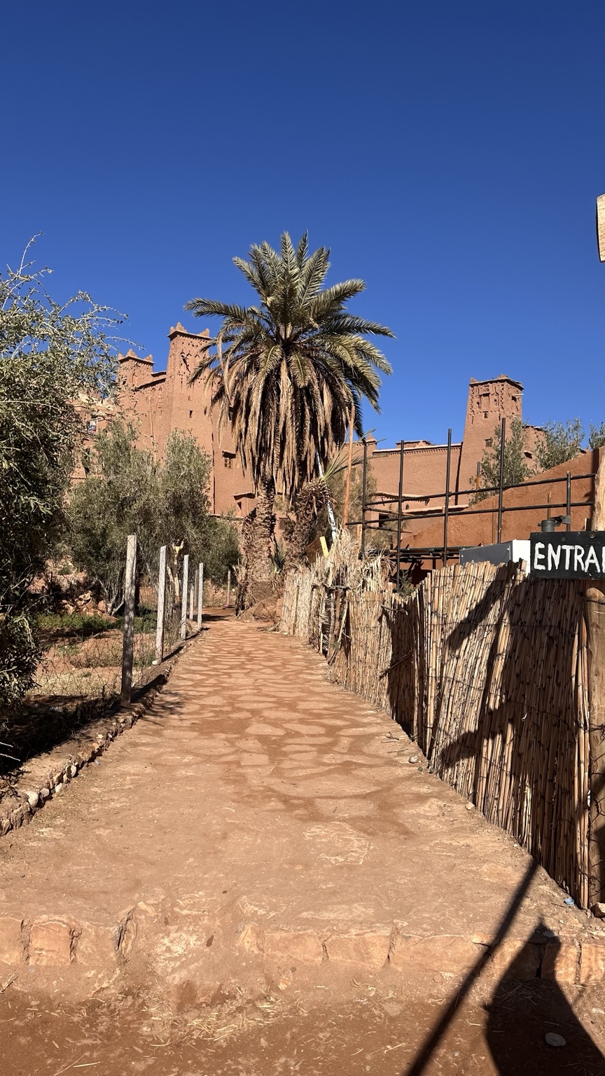 A path through palms toward the earthen buildings at Aït Benhaddou