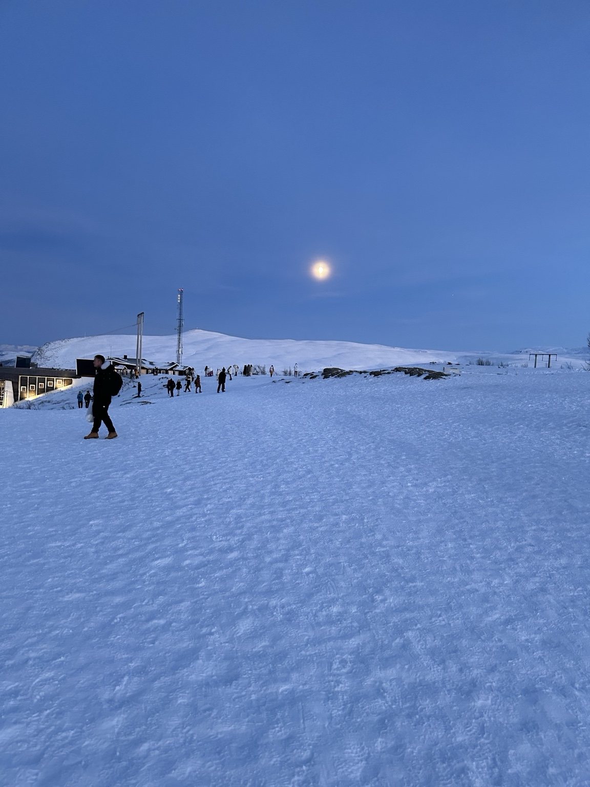 People standing on a snowy Arctic landscape