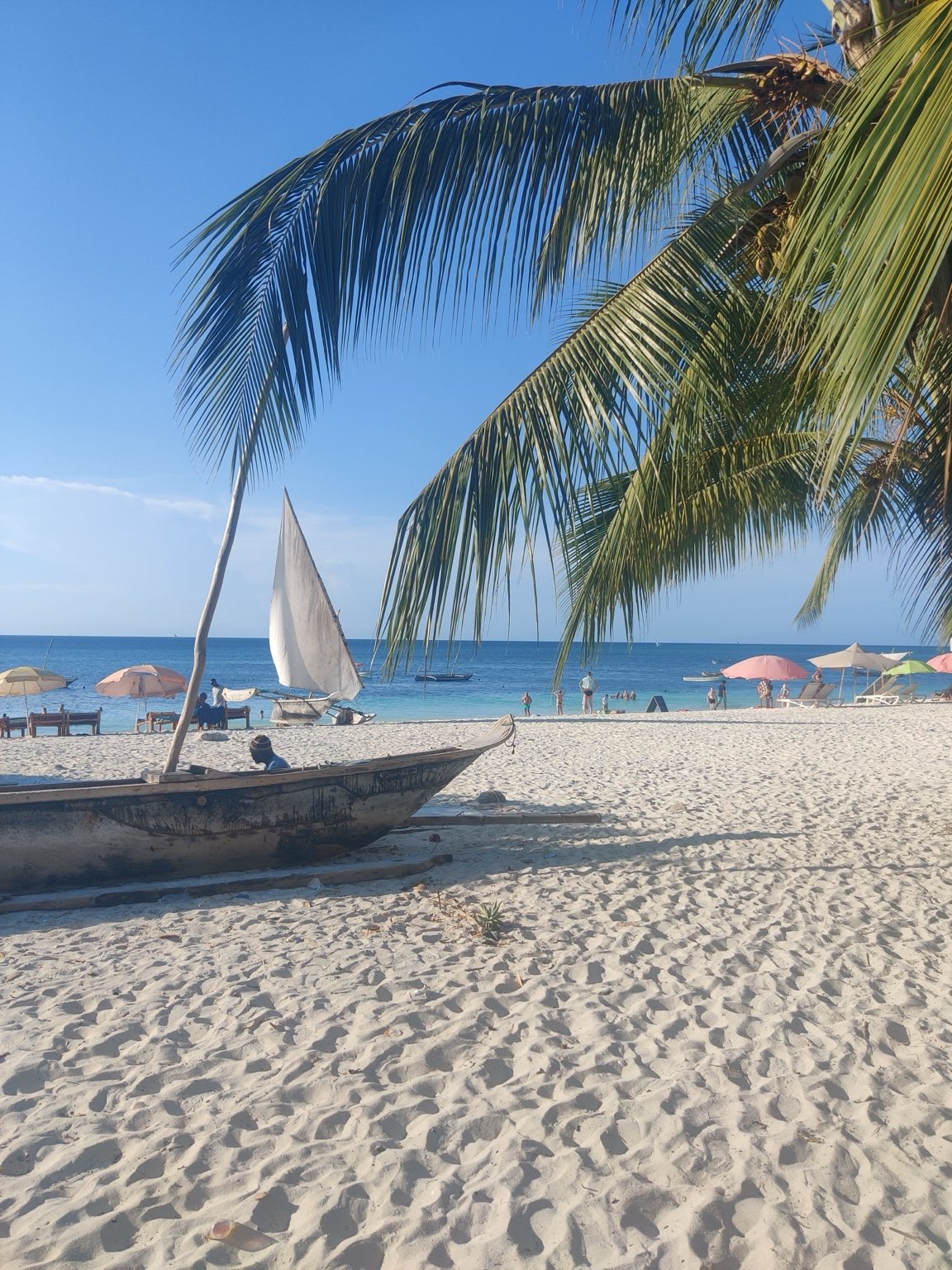 Beach, palms and a traditional boat on the Tanzanian coast