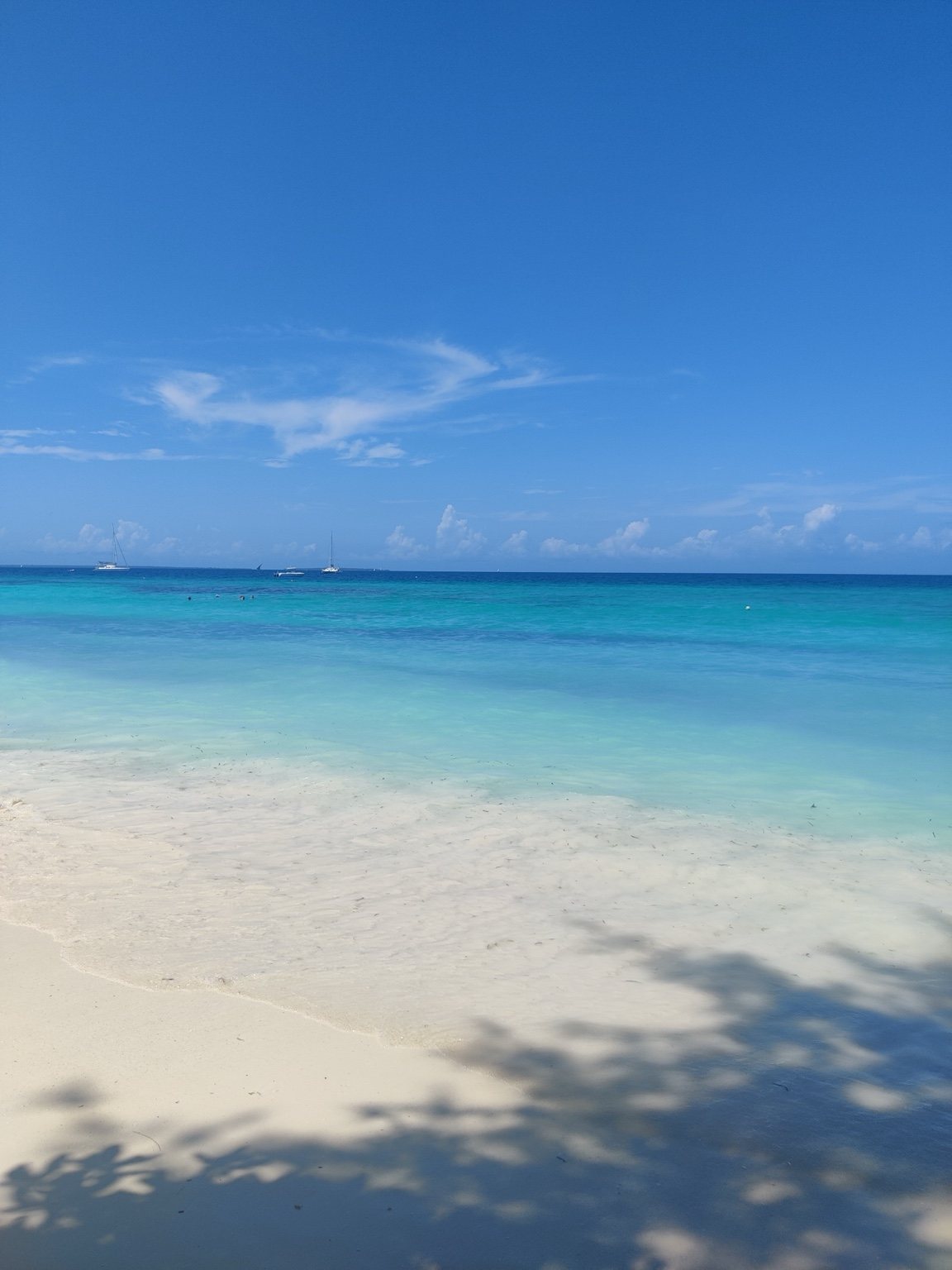 Blue and green sea off Zanzibar