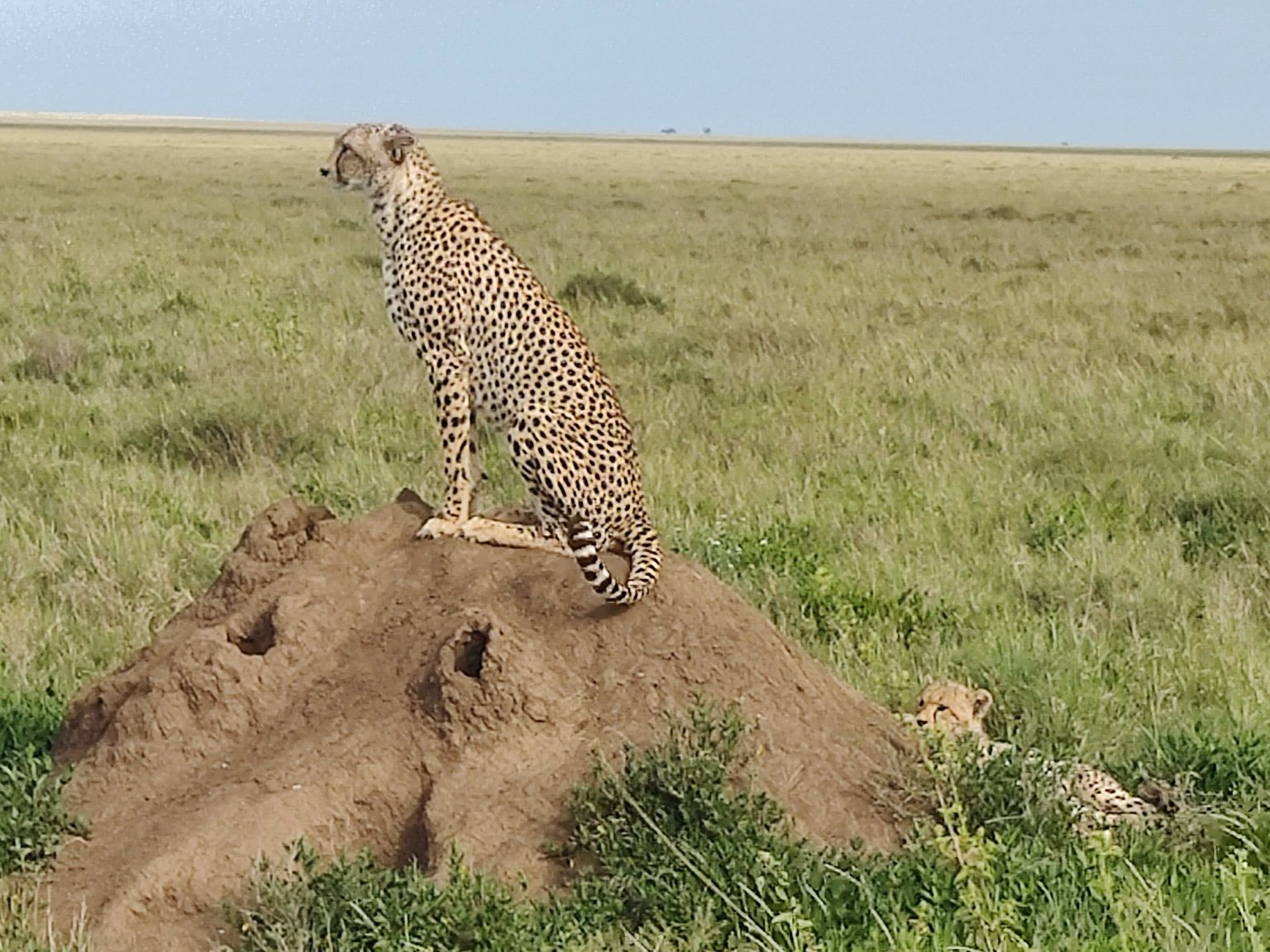 Tanzania travel photograph