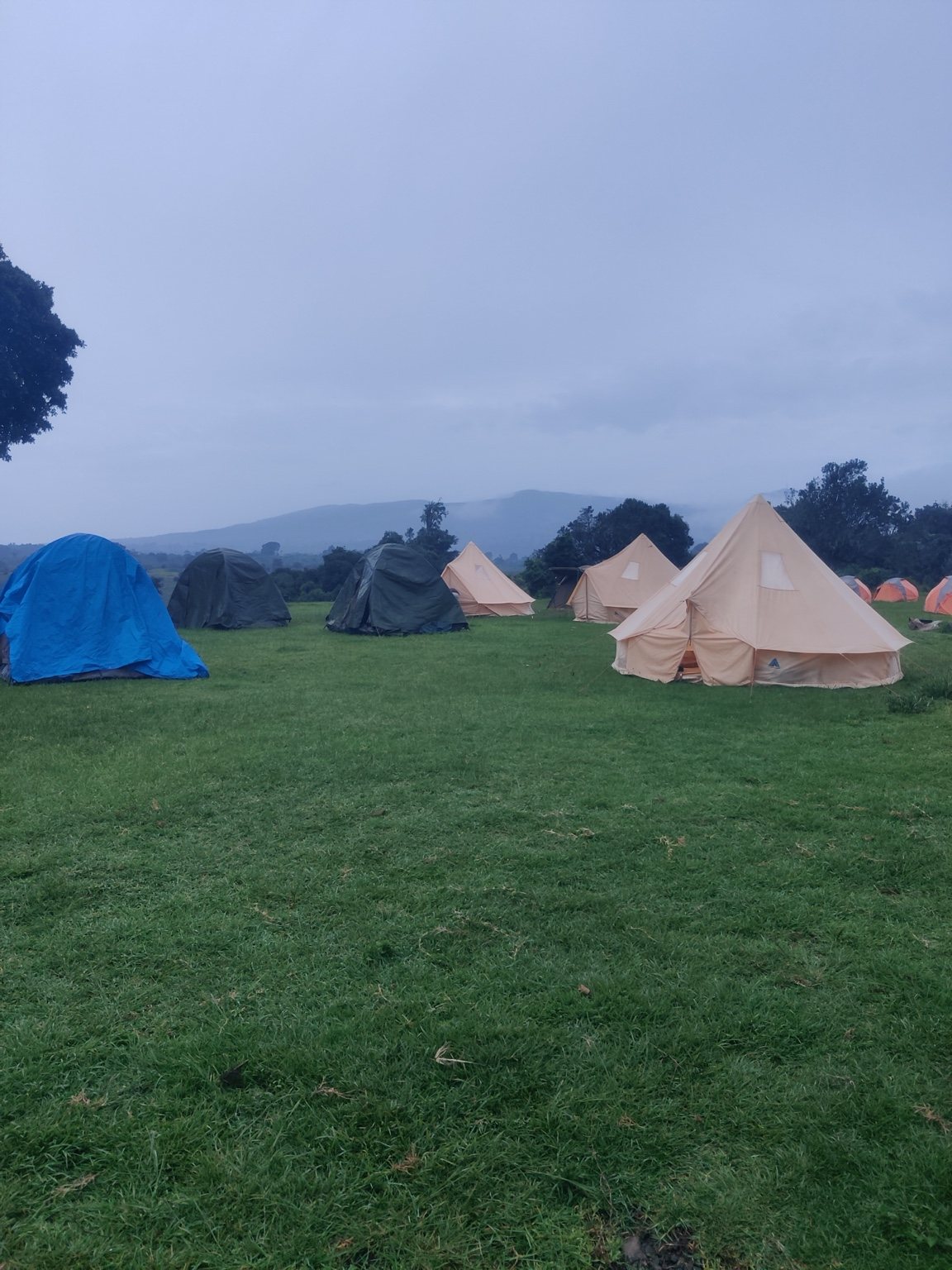 Tents on an open grassy campsite